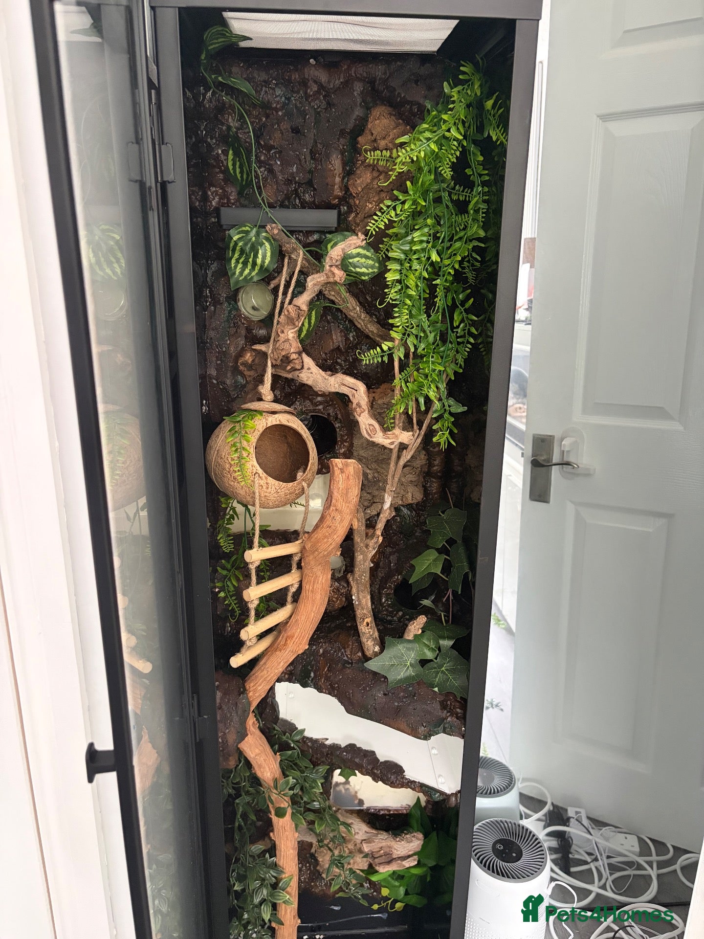 Mixed Breed rodents custom enclosure  - Advert 6
