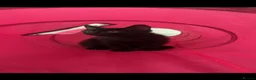 Mixed Breed cats for sale: 3 10 week old kittens  in Liverpool - Advert 9