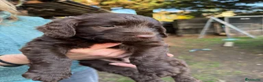 Jacob