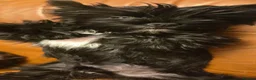 Yorkshire Terrier dogs for sale: Black Yorkie - Advert 1