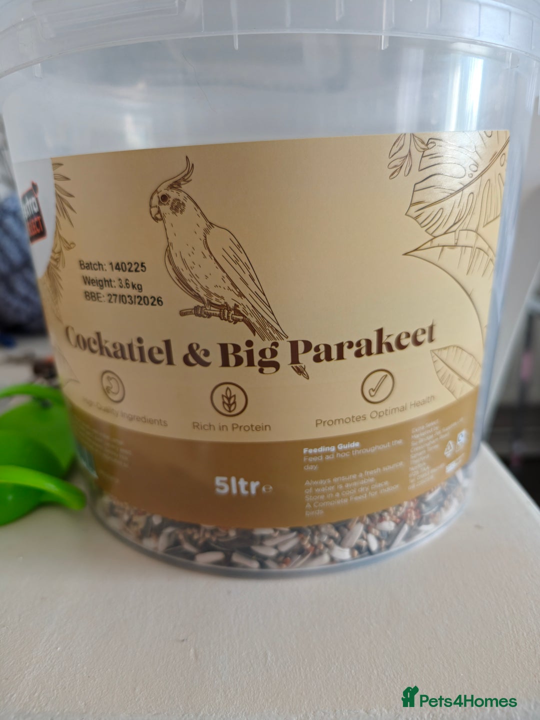 Parakeets birds for sale: Lineolated parakeets 1 male 1 female - Image 12