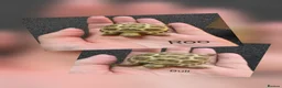 Tortoise reptiles for sale: Horsefield Baby Tortoises - Advert 2