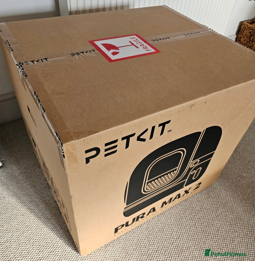 Ragdoll cats for sale: **Bargain Price* PETKIT PURA MAX 2 - Self Cleaning - Image 1