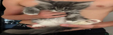 Ivan