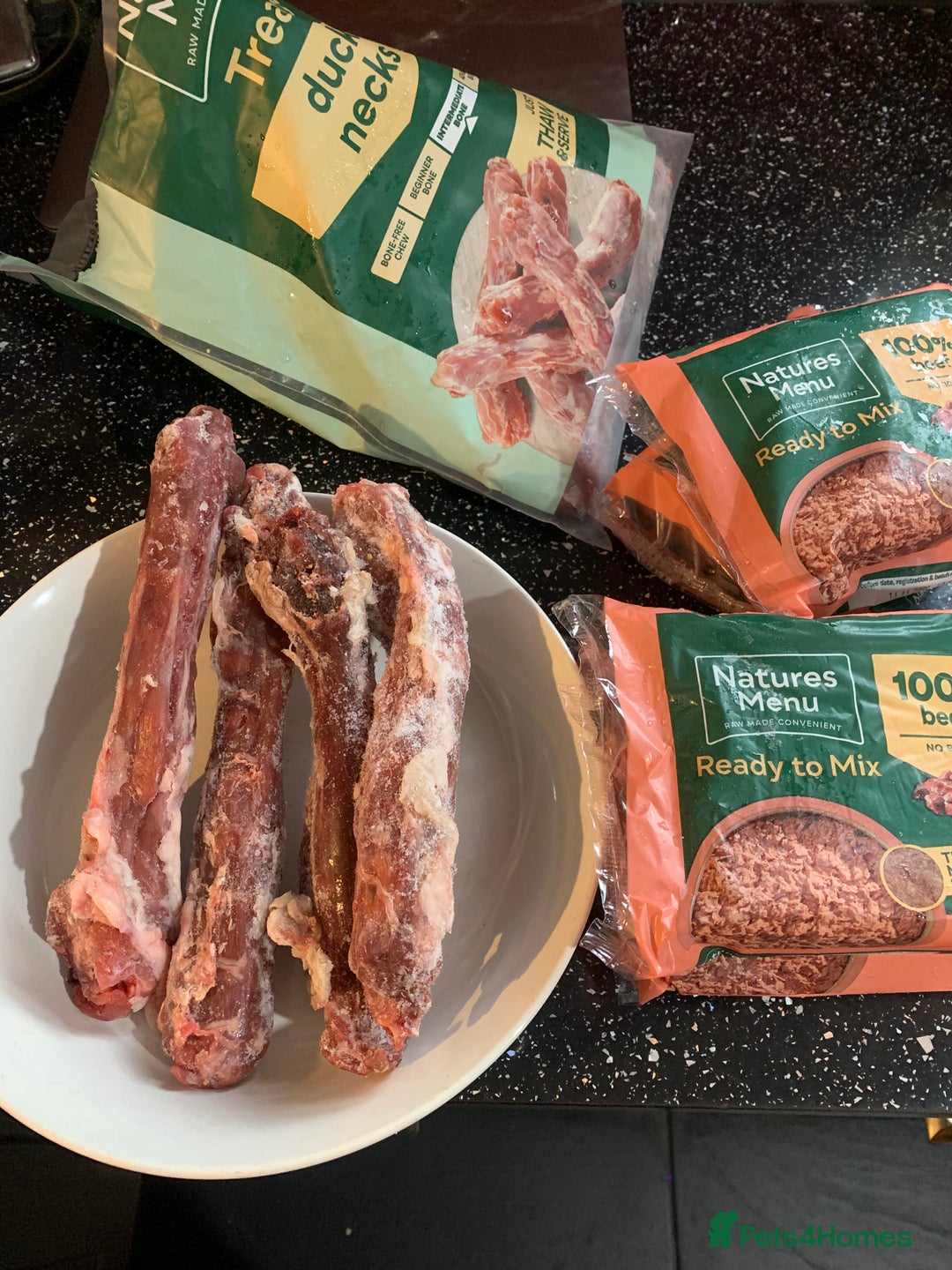 Cocker Spaniel dogs for sale: PURE CHOCOLATE WORKING COCKER SPANIELS  - Advert 11