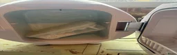 Leopard Gecko reptiles for sale: 2 mature tangerine leopard geckos  in Hornchurch - Advert 9