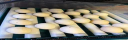Chickens poultry for sale: Wyandotte & Millefleur chicks hatching mid August  - Advert 1