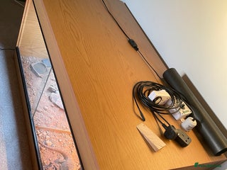 Bearded Dragon reptiles Bearded Dragon with enclosure and all needed - Advert 2