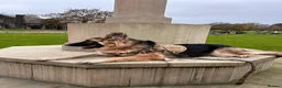 German Longhaired Pointer dogs for sale: Long haired German shepherd  in Leeds - Advert 8