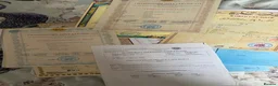 Bengal cats for sale: Outstanding Bengal kittens , European champion dad - Advert 20
