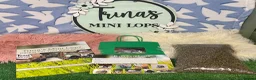 Mini Lop rabbits for sale: Baby Mini Lop Rabbits - Ready 19th August - Advert 12