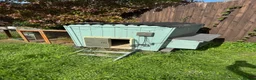 Chickens poultry for sale: 🐔 COMPLETE CHICKEN FLOCK & SETUP FOR SALE 🐔 - Advert 1