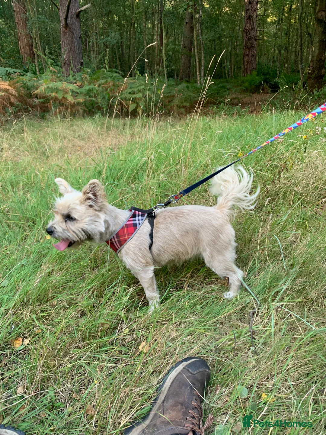 Gallery Image {{count}}