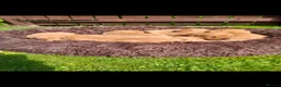 Labrador Retriever dogs for sale: Fox red labrador puppies  - Advert 15
