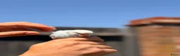 Budgerigars birds for sale: Beautiful Hand-Reared Baby Budgies — - Advert 4