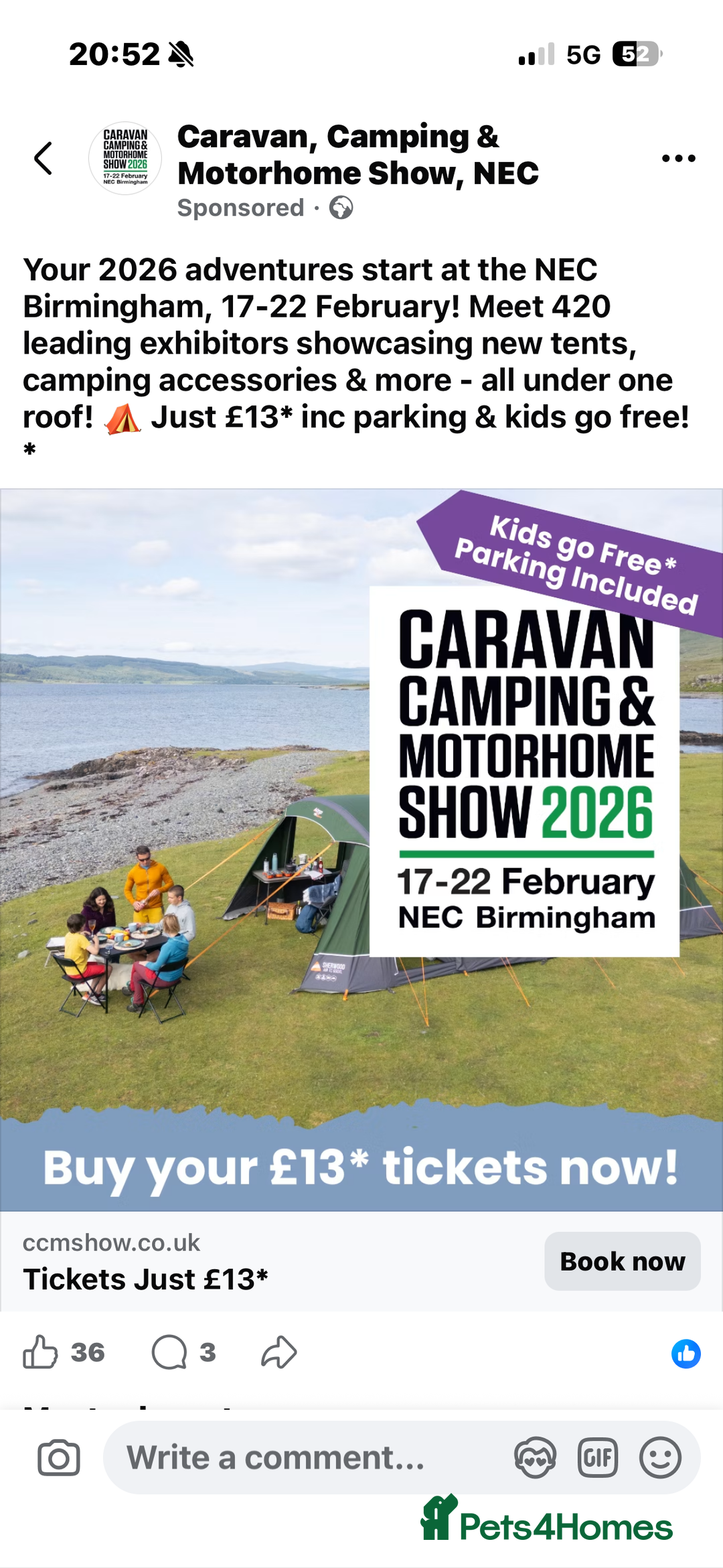 Miniature Dachshund dogs for sale: miniature Dachshund  - Advert 18