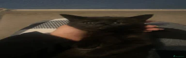girl 5
