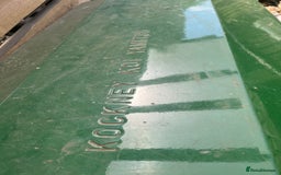 Koi Carp fish for sale: pond fish - Image 4