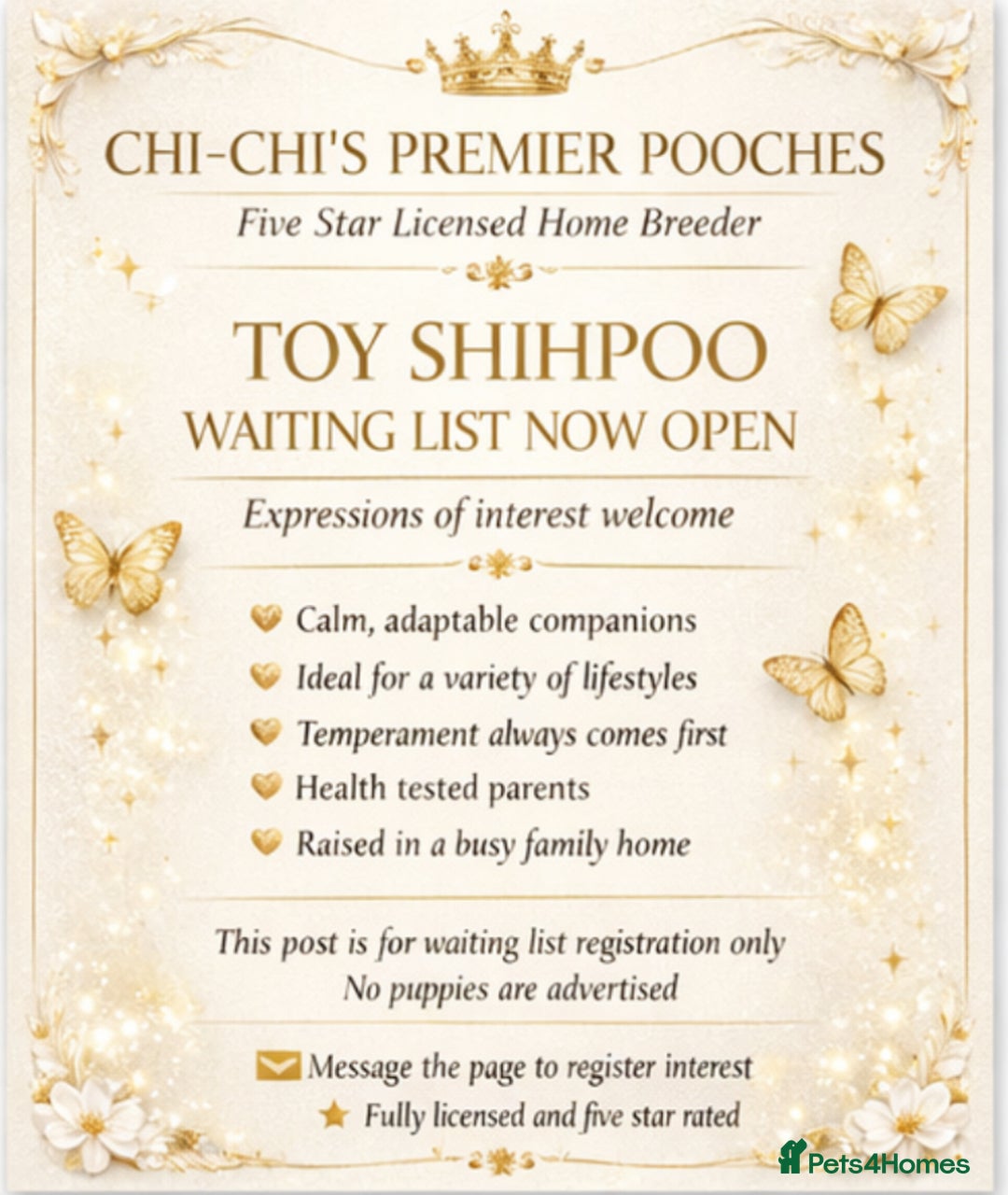 Shihpoo dogs for sale: Our 2026 Toy shihpoo WAITING LIST is now open - Advert 1