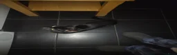 Mixed Breed cats for sale: 2 male black cats - Advert 2