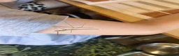 Stick Insects invertebrates for sale: Vietnamese Stick Insect  - Advert 1