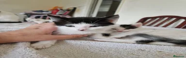 No name has been 