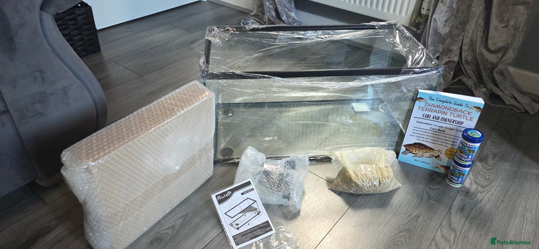 Turtle reptiles for sale: Brand new glass terrarium  - Image 1