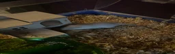 Gerbil rodents for sale: Two male gerbils  - Advert 6