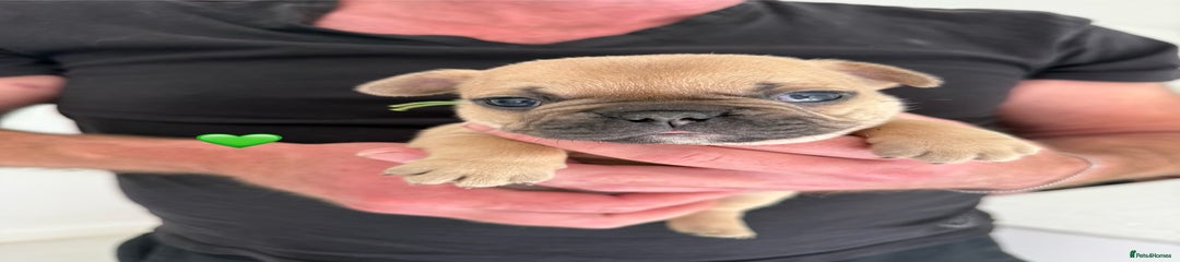 Green collar male 