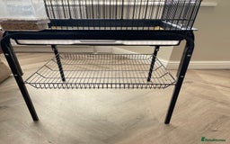 Lovebirds birds for sale: 2 Lovebirds and large cage  - Image 9