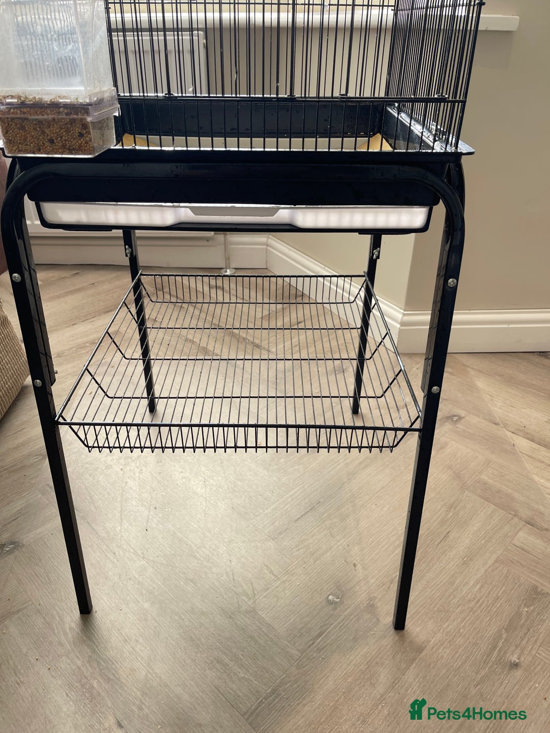 Lovebirds birds for sale: 2 Lovebirds and large cage  - Image 9