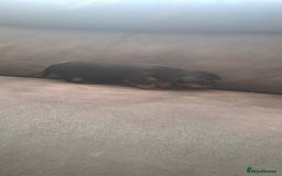 Yorkshire Terrier dogs for sale: 3 beautiful yorkshire terrier puppies  - Image 3