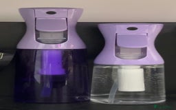 Gecko reptiles for sale: Harlequin Tricolour Crested Gecko + Large Tank - Advert 37