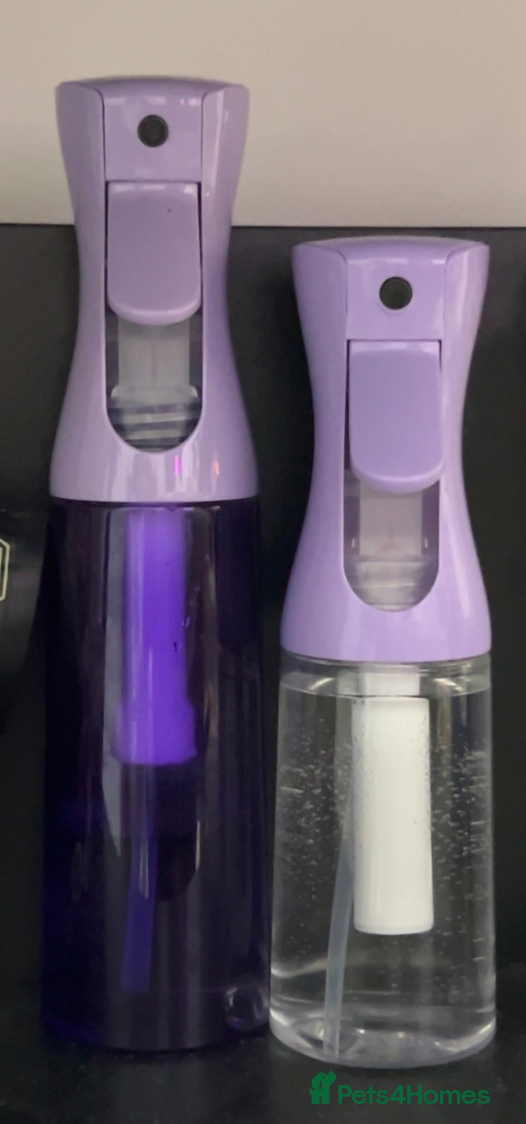 Gecko reptiles for sale: Harlequin Tricolour Crested Gecko + Large Tank - Advert 37