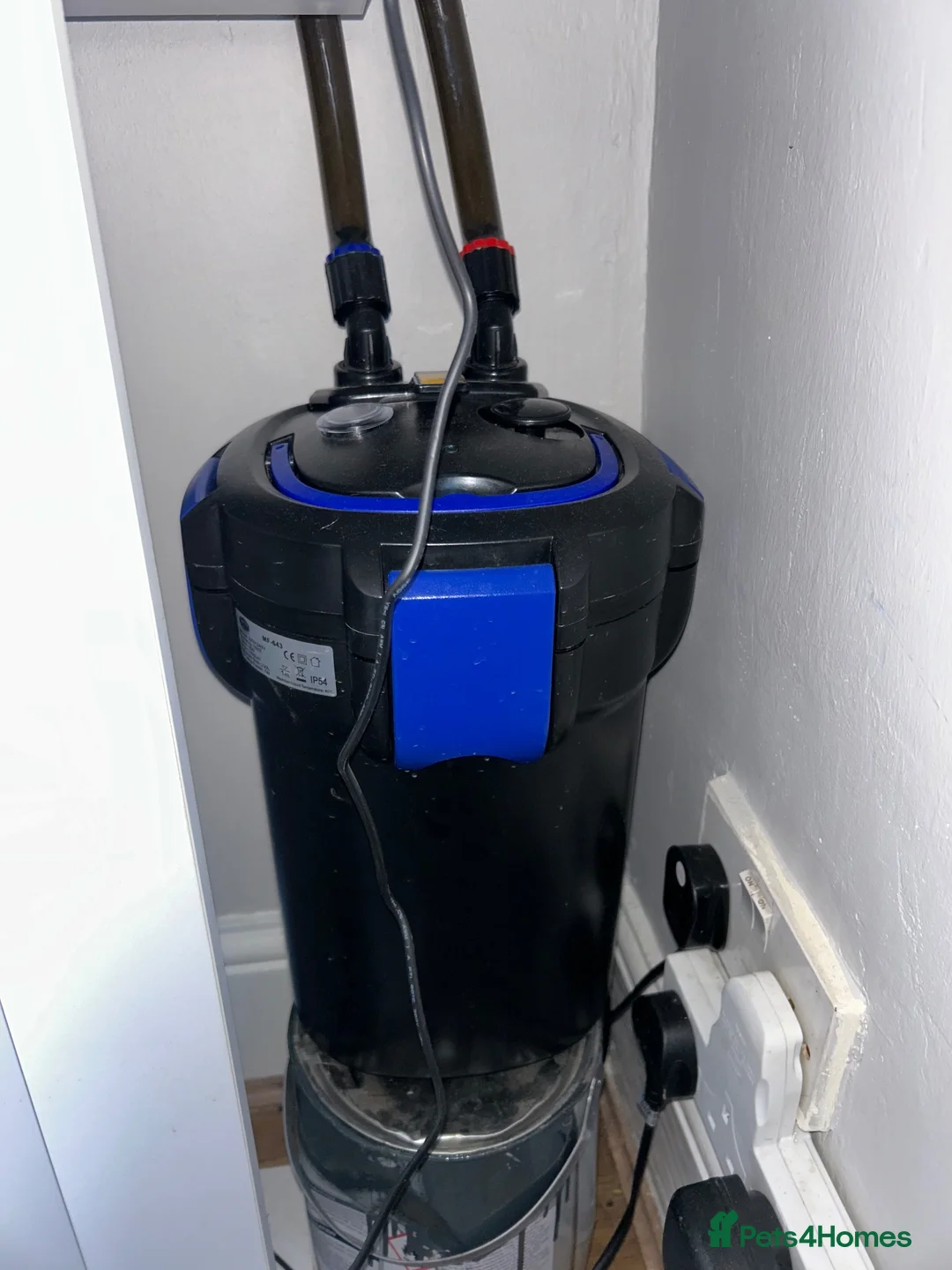 Other/Mixed Breed fish for sale: Fish tank and filter plus two fish  in Willenhall - Advert 2