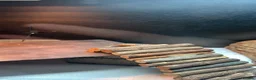 Bearded Dragon reptiles for sale: Bearded dragon  - Advert 2