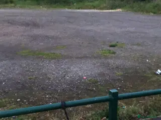 Japanese Akita Inu dogs Strong Mix Breed Akita Looking For New Home - Advert 1