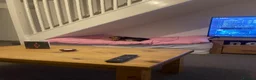 Lurcher dogs for sale: molteaser in Bishop Auckland - Advert 3