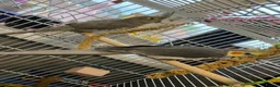 Cockatiels birds for sale: Cockatiels and cage for sale in Feltham - Advert 5