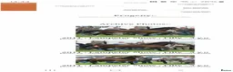 Welsh Section D horses for sale: Section D mare  - Advert 2
