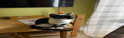 Mixed Breed cats for sale:  **  for sat in Norwich - Advert 6