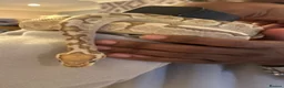 Python Snake reptiles for sale: Royal python snake  - Advert 4