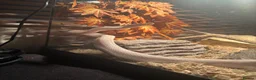 Corn Snake reptiles for sale: Corn snake for sale  in Blackburn - Advert 6