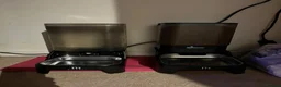 Scottish Fold cats for sale: 2 lovely adult Scottish Fold - Advert 2