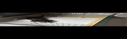 Rottweiler dogs for sale: 🐾 Rottweiler Puppies Expected Late Nov 2026 🖤🤎 in Sheffield - Advert 4