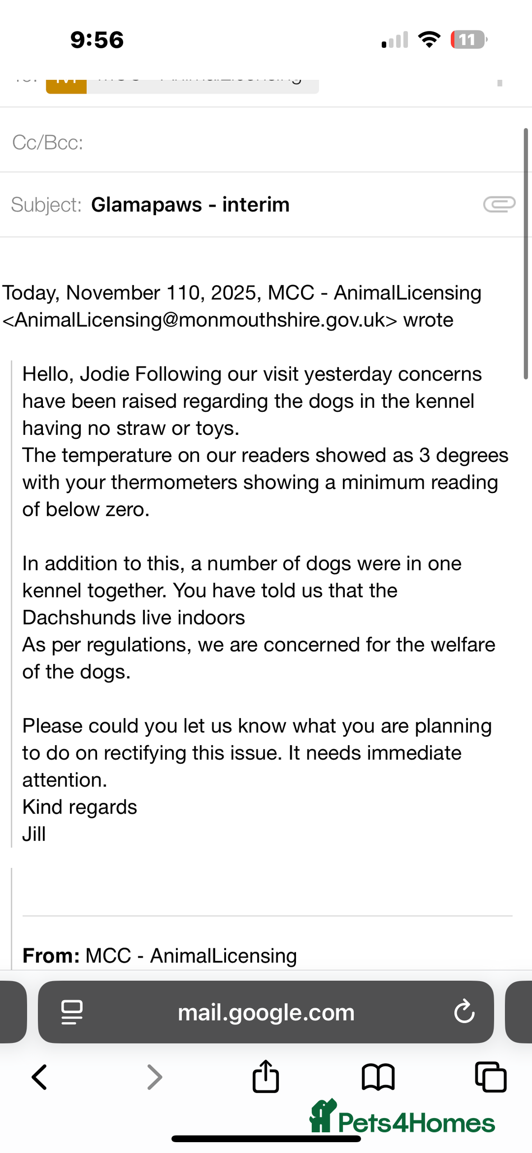 Miniature Dachshund dogs for sale: BEAUTIFUL PRA CLEAR & KC REG MINIS - Advert 36