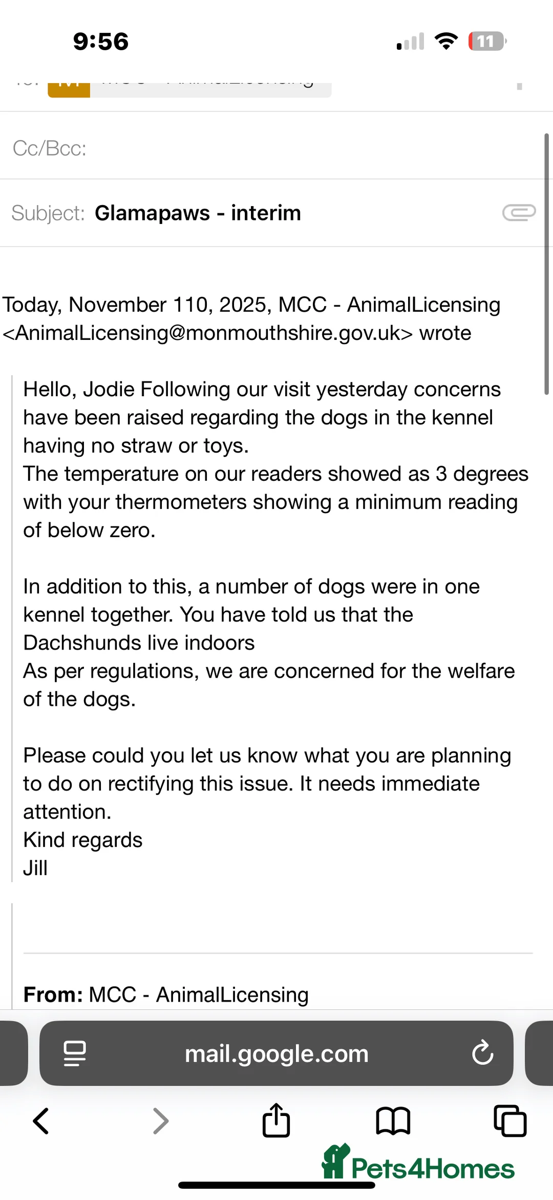 Miniature Dachshund dogs for sale: BEAUTIFUL PRA CLEAR & KC REG MINIS - Advert 33