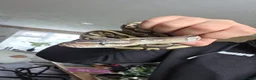 Python Snake reptiles for sale: Royal python  - Advert 4