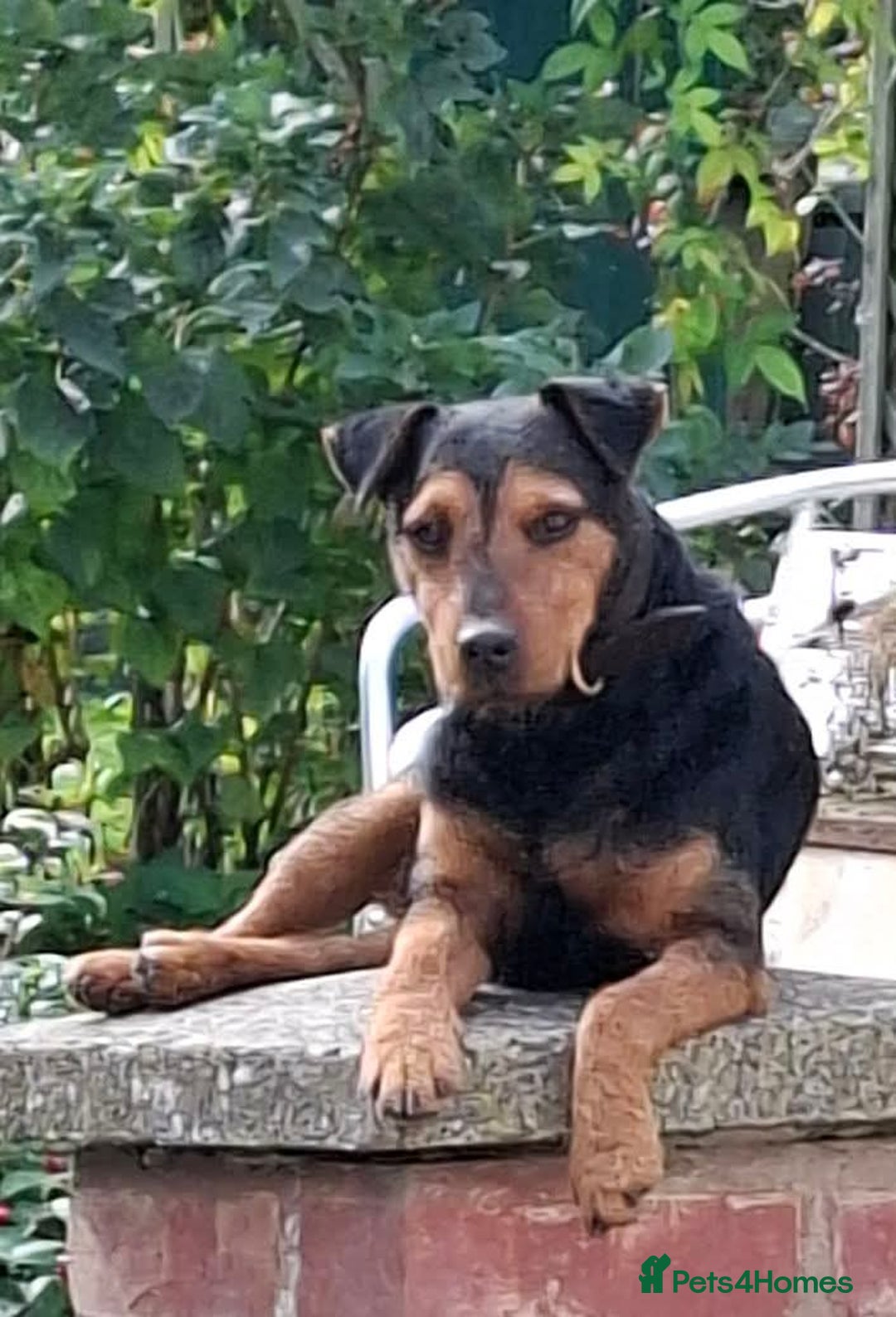 Gallery Image {{count}}