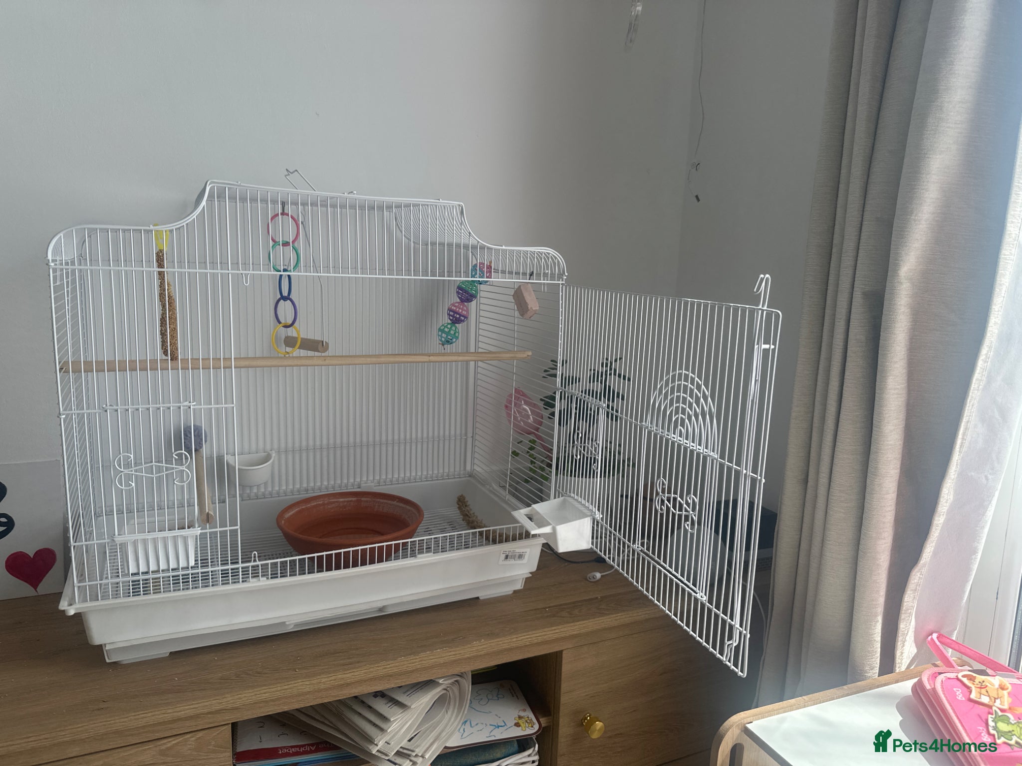 Budgerigars birds Budgie cage  - Advert 17